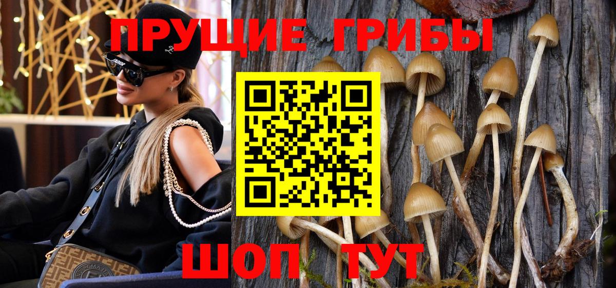 Галлюциногенные грибы MAGIC MUSHROOMS Соликамск