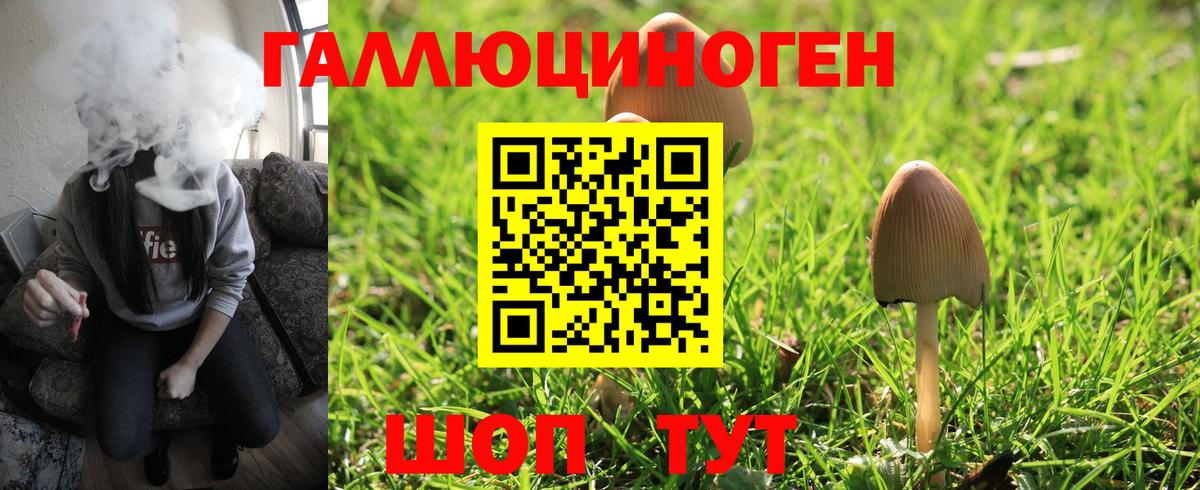 Соликамск  Псилоцибиновые грибы прущие грибы  Вход с VPN 