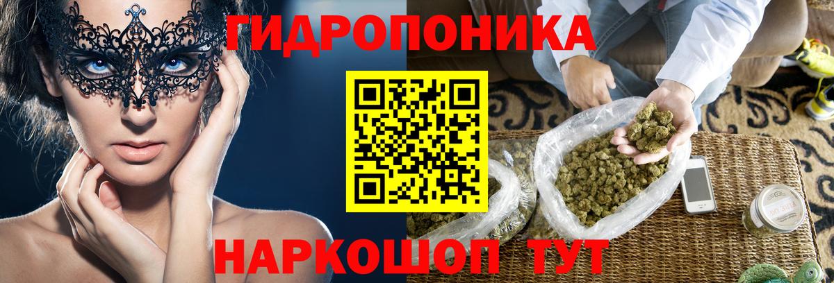 Бошки Шишки конопля Соликамск